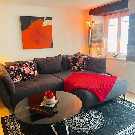 Luxus Domizil Apartment Villingen-Schwenningen Ngoại thất bức ảnh